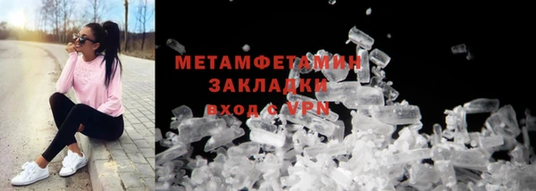 индика Новодвинск