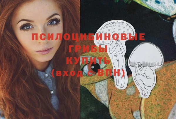 гидра Алексеевка